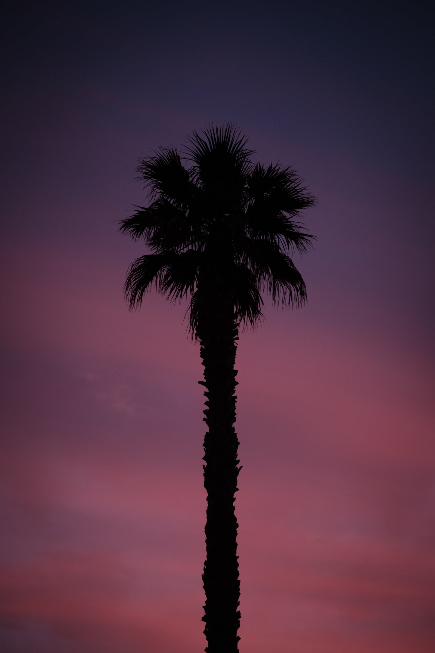 Fine-Art Print 40x60cm