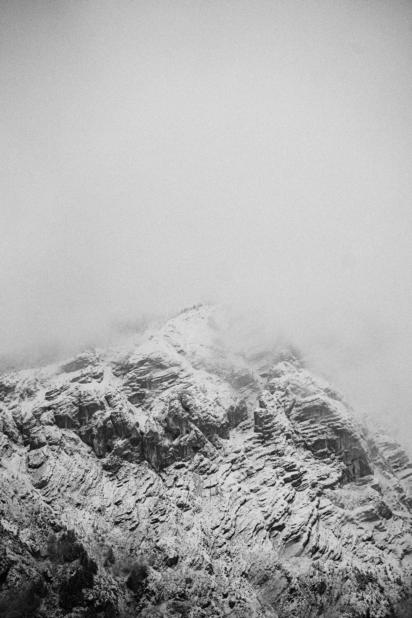 A3 Fotoprint