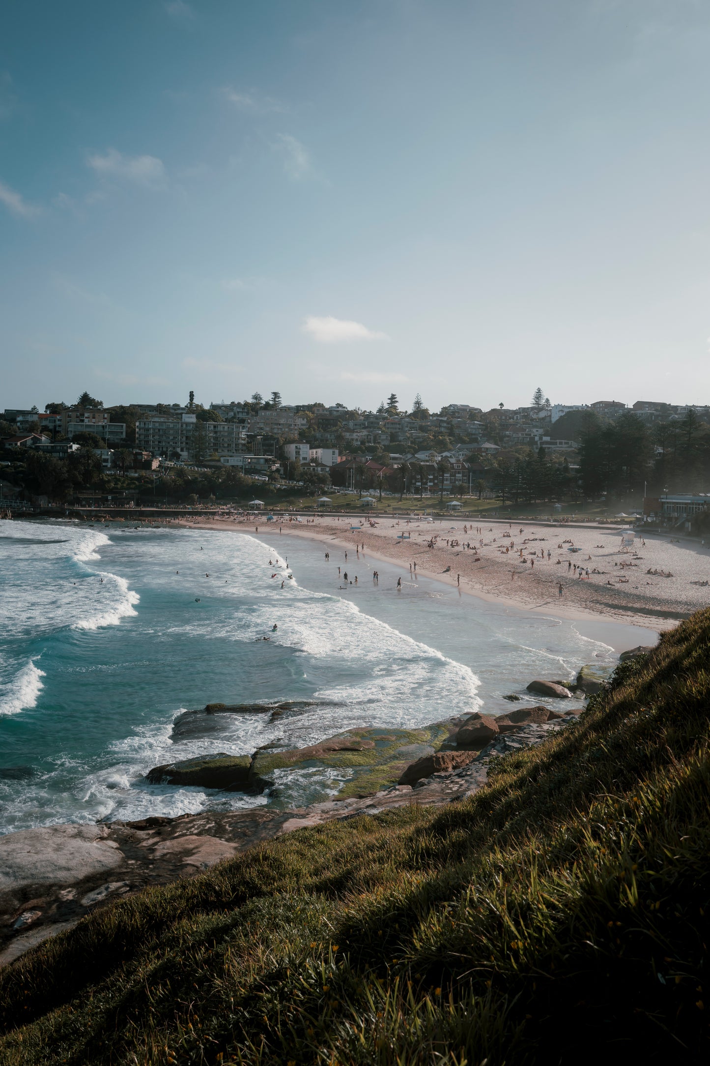 Bondi Beach | Leinwand auf Holz